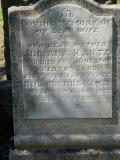 image of grave number 245895